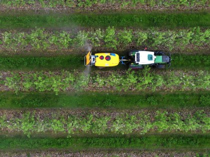 Aerial shot of a tractor spraying in orchard