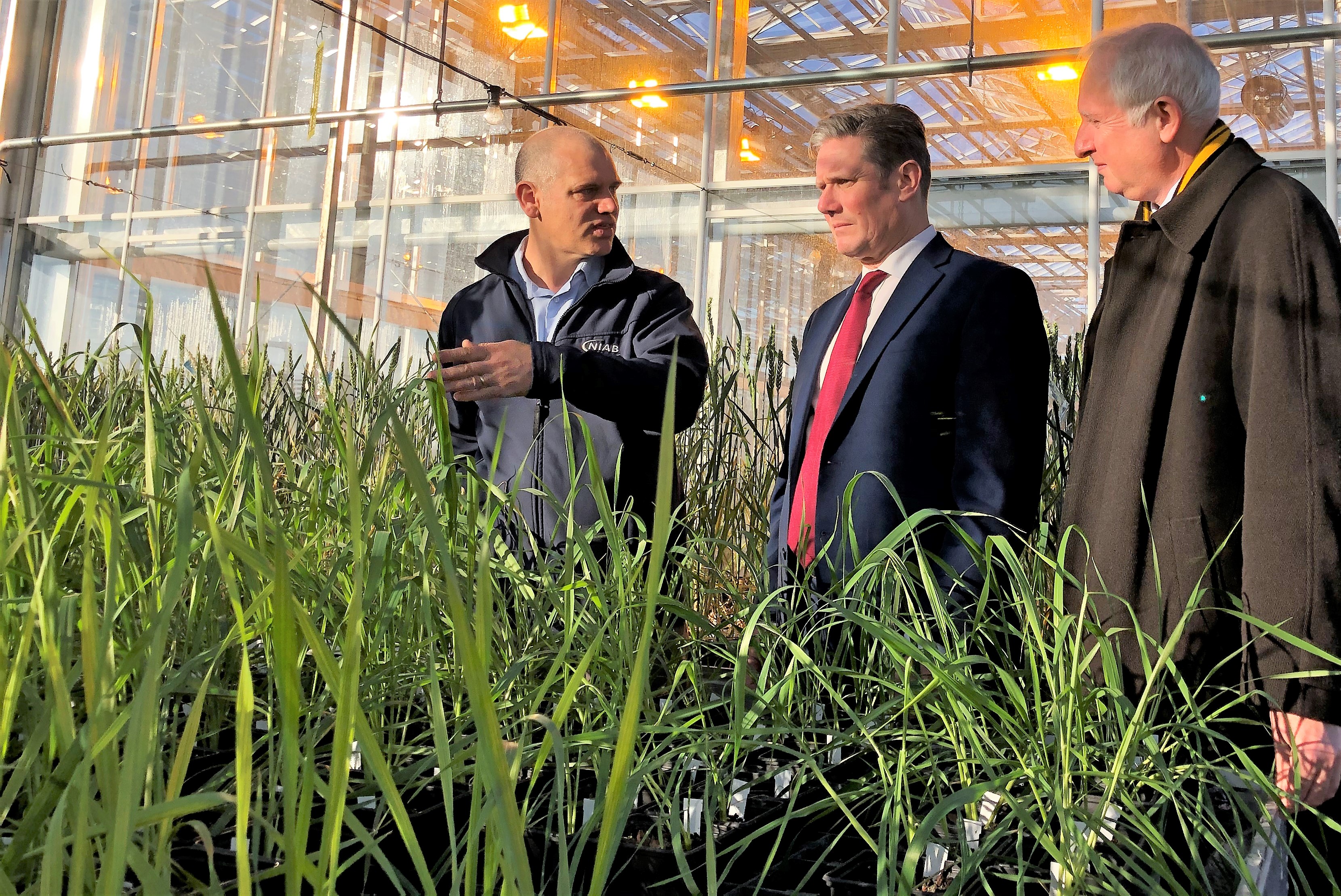 Niab's Phill Howell showing Keir Starmer and Daniel Zeichner around the Niab glasshouses