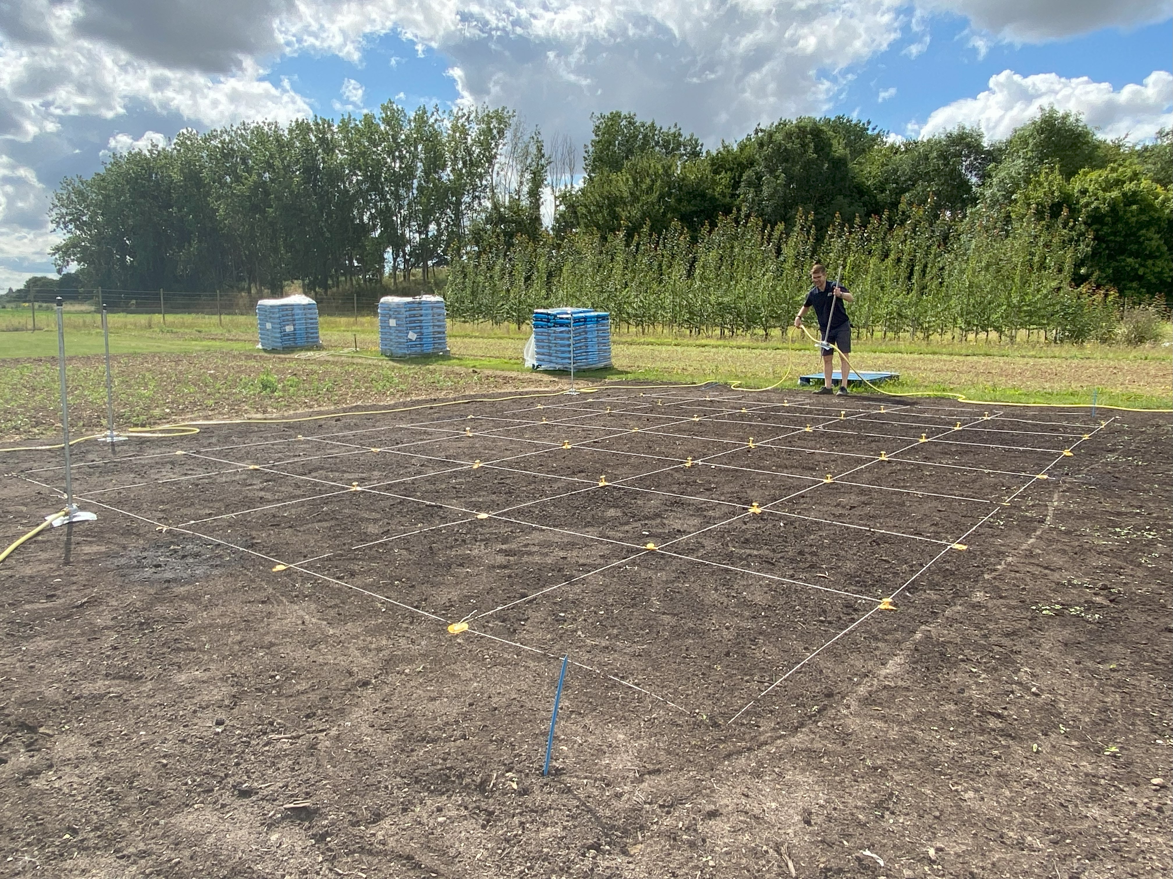 Ben Tea is preparing demonstration plots for lawn varieties