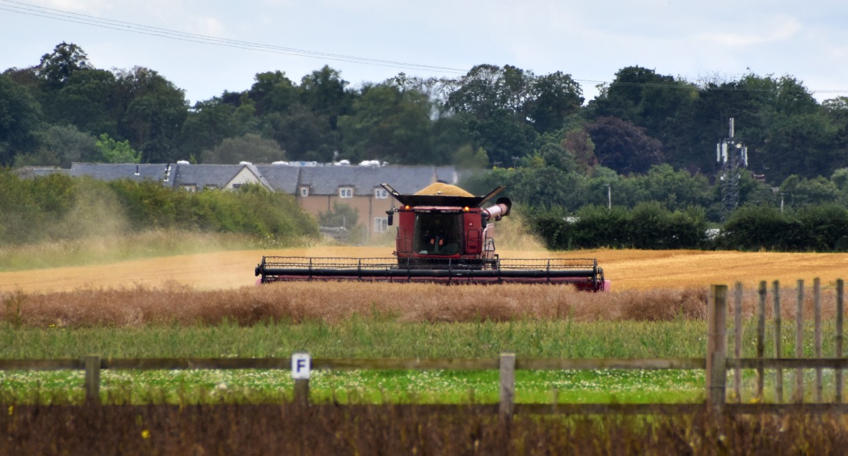 Combine harvesting at NIAB HQ trial grounds
