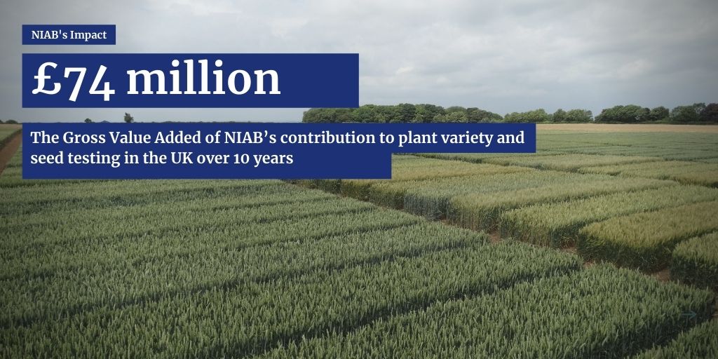 The combined Gross Value Added (GVA) attributed by the impact study to NIAB’s actual contribution to plant variety and seed testing at UK level over 10 years was £74 million.