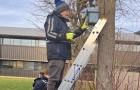 Niab staff installing a nestbox at the Park Farm site, Histon