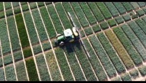 Tractor driving through wheat trials Tractor driving through wheat trials