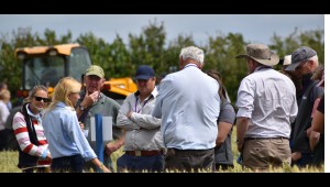 Hinxton open day Hinxton open day