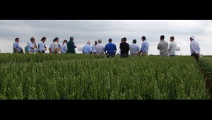 Visitors at a Niab event Visitors at a Niab event