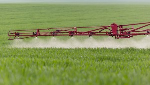 Fungicide sprays Fungicide sprays