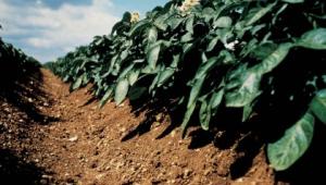 Supply chain monitoring Supply chain monitoring