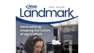 Niab Landmark Issue 59 Niab Landmark Issue 59