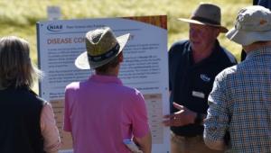 Patrick Stephenson talking about barley fungicide Patrick Stephenson talking about barley fungicide