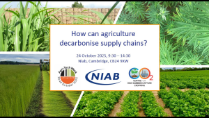 09.00 - 14.30 24 October 2025