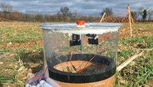 Exploiting novel wheat genotypes for regen-ag Exploiting novel wheat genotypes for regen-ag