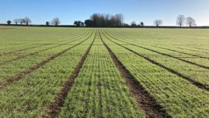 Field trials Field trials