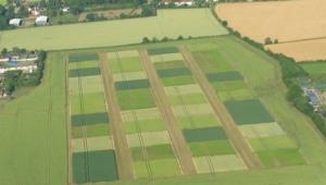 Aerial shot of the STAR site Aerial shot of the STAR site