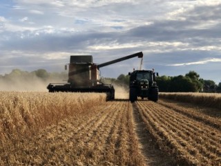 Combine and tractor harvesting a cereal crop