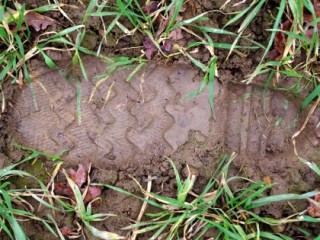 Boot print in a muddy field