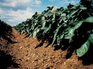 Supply chain monitoring Supply chain monitoring