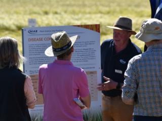 Patrick Stephenson talking about barley fungicide Patrick Stephenson talking about barley fungicide
