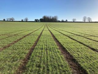 Field trials Field trials