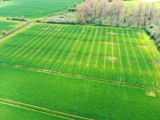 Saxmundham experimental trials site, Suffolk Saxmundham experimental trials site, Suffolk