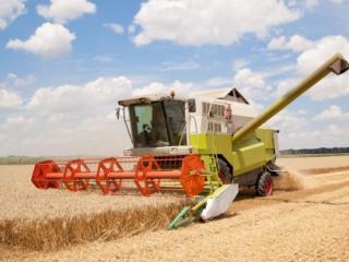 More wheat/ha tackles climate change More wheat/ha tackles climate change