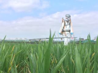 Fungicide resistance research Fungicide resistance research