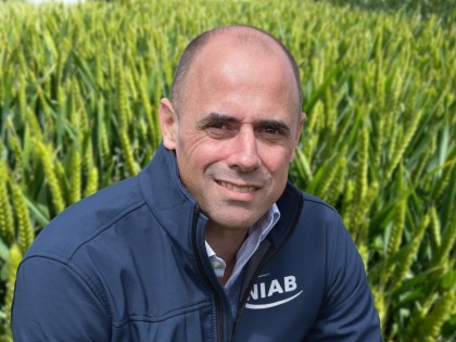 Niab CEO Professor Mario Caccamo