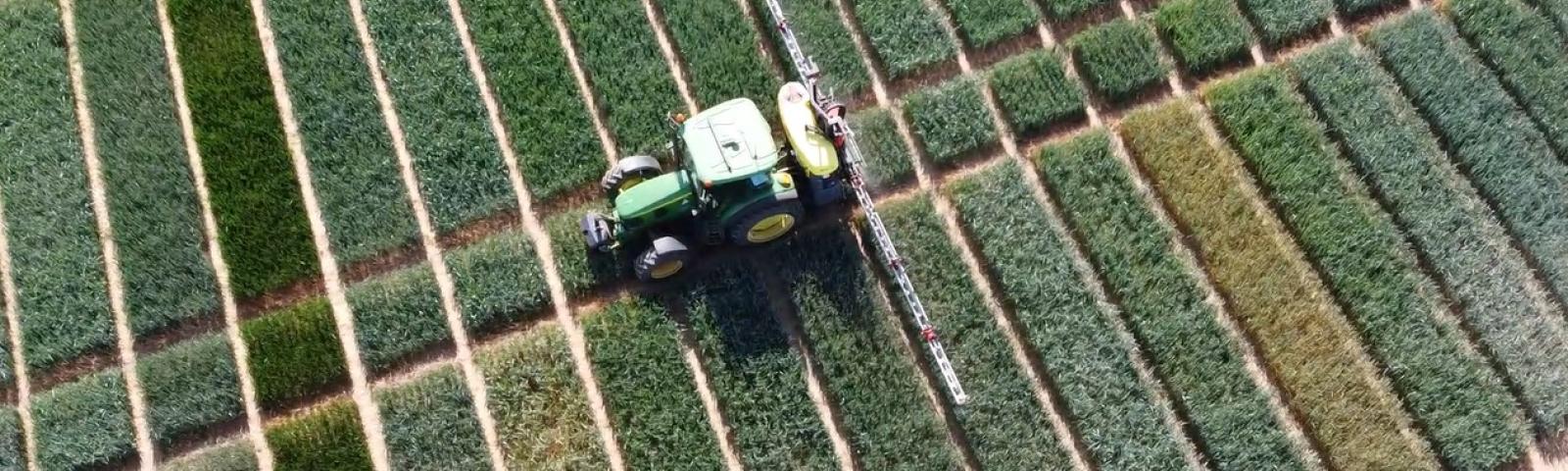Tractor driving through wheat trials
