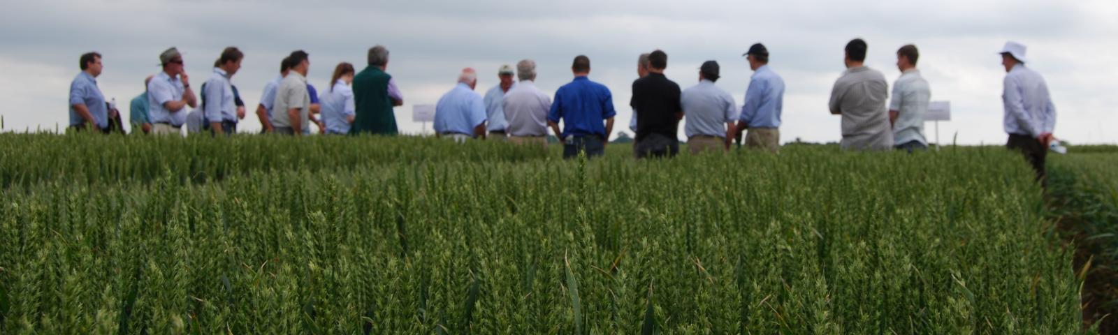 Visitors at a Niab event