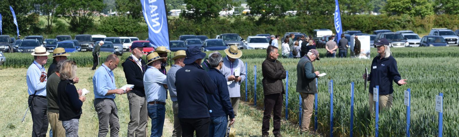 Visitors at a Niab event