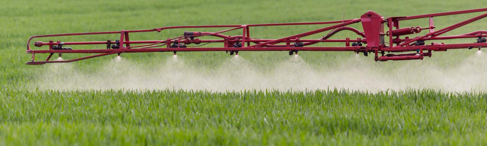 Fungicide sprays
