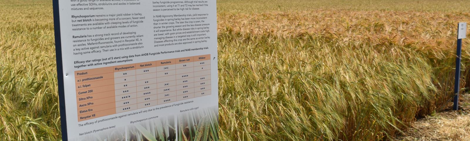 Winter barley fungicide poster at Niab Morley Open Day 2023