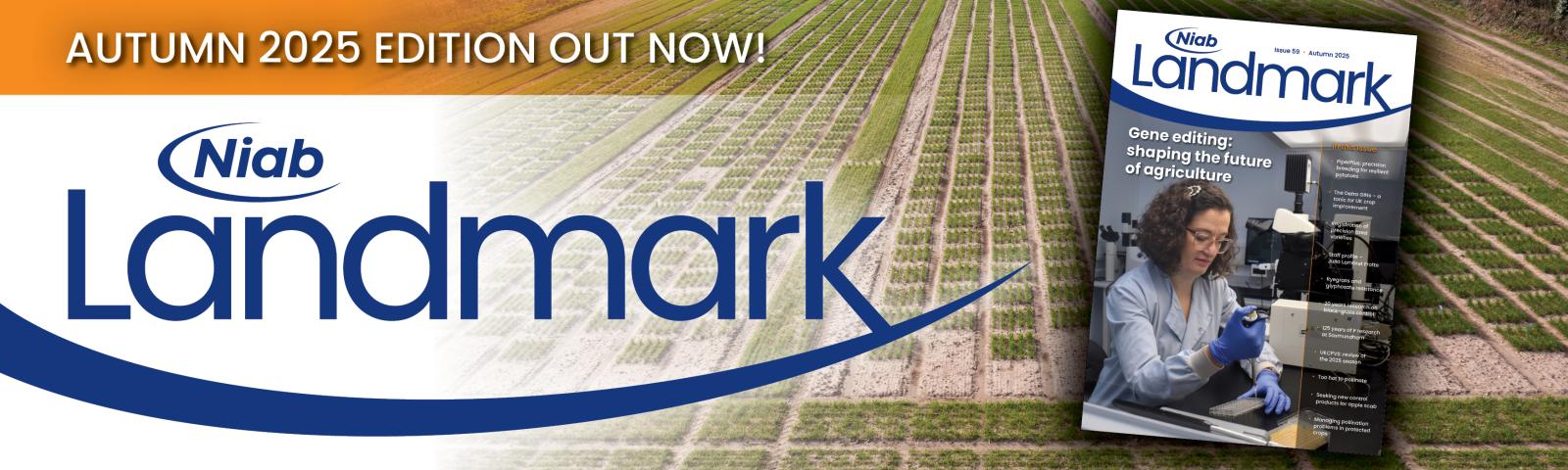 Landmark: Issue 59 Landmark: Issue 59