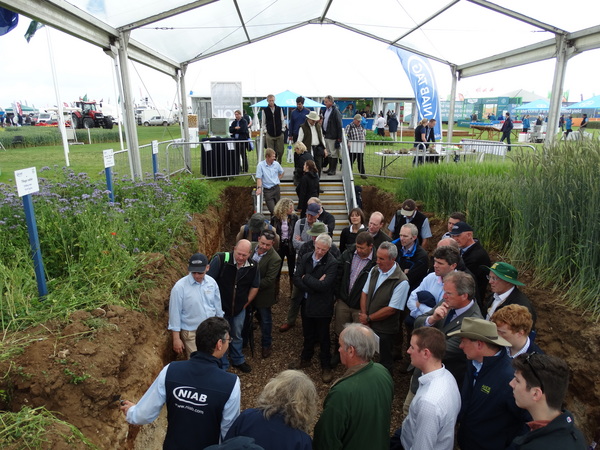 NIAB in the Cereals Event Soil Pit