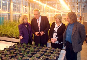 Lydia Smith, Richard Howitt MEP, Tina Barsby and Huw Jones in the NIAB glasshouses
